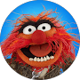 Animal from The Muppets with wild orange hair and wide open mouth against blue.